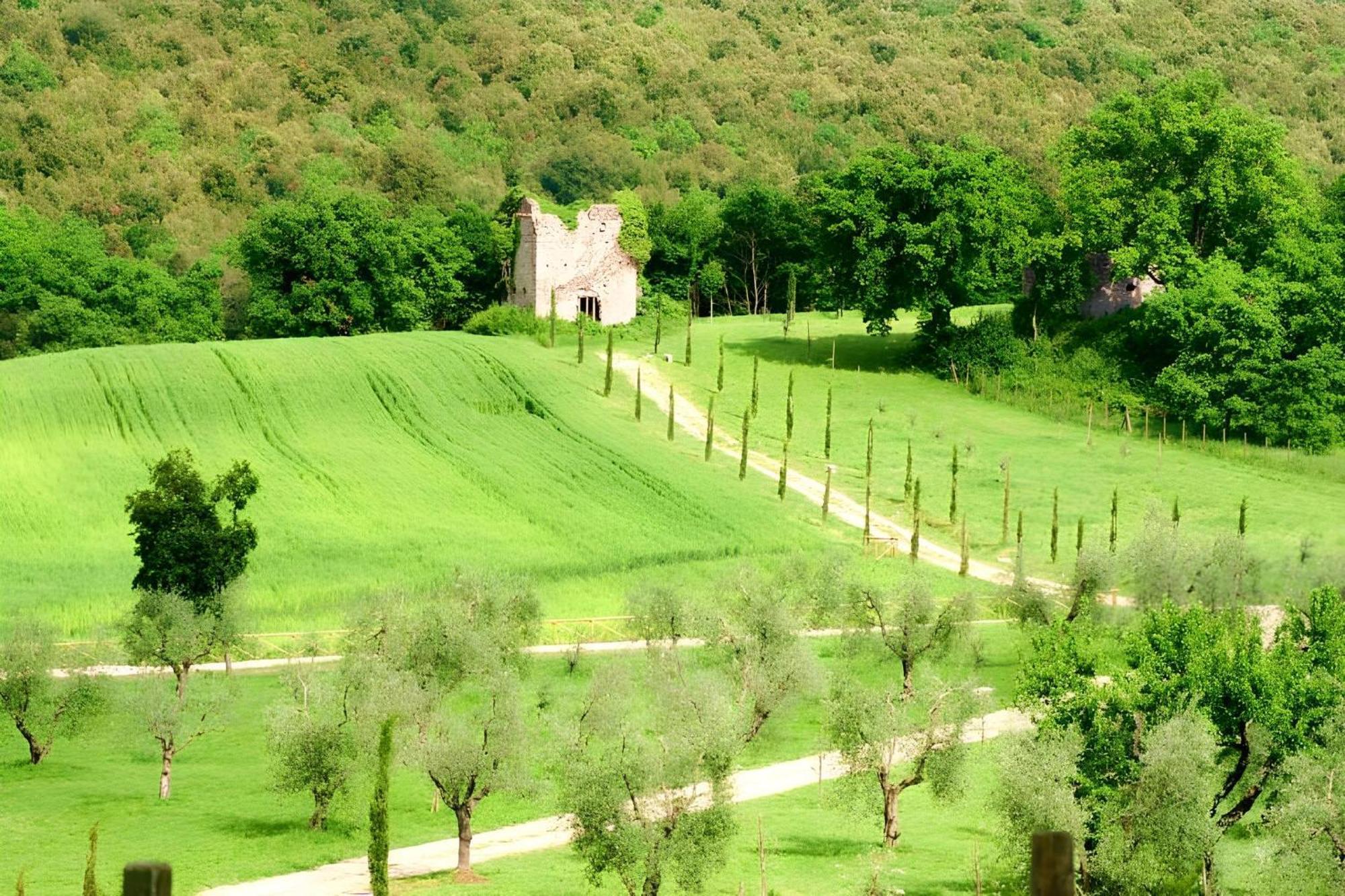 Tenuta Del Gallo Amelia Extérieur photo