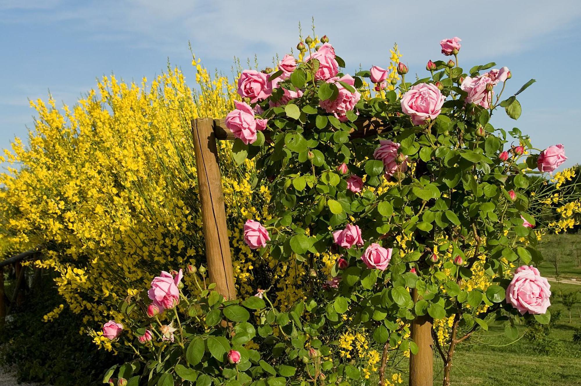 Tenuta Del Gallo Amelia Extérieur photo